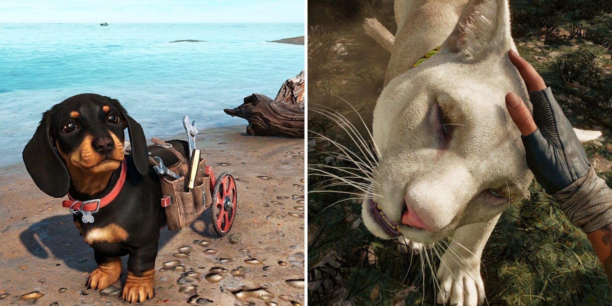 far cry 6 every animal companion ranked feature image